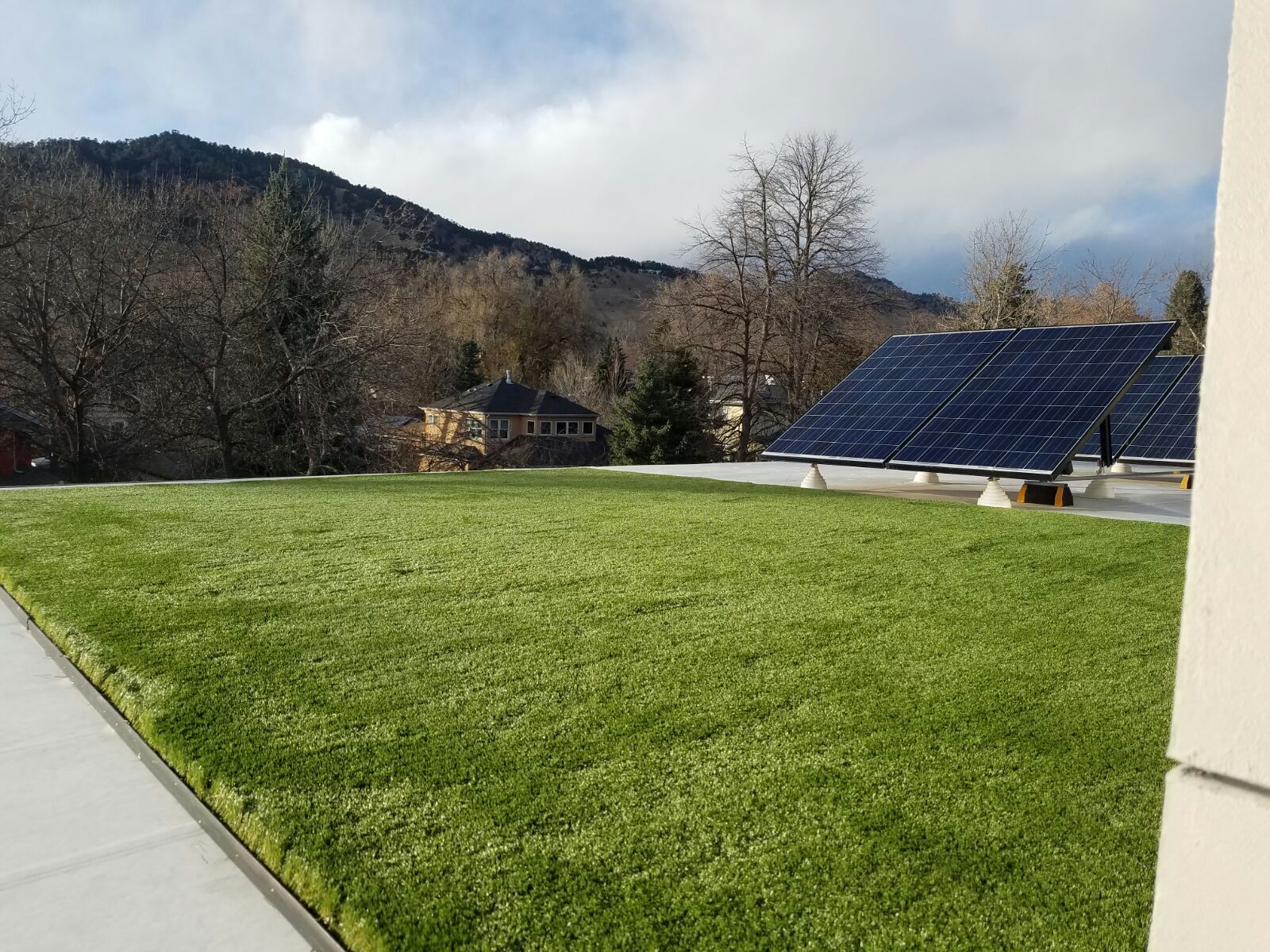 Synthetic Grass in Arizona Turf Pros Solution