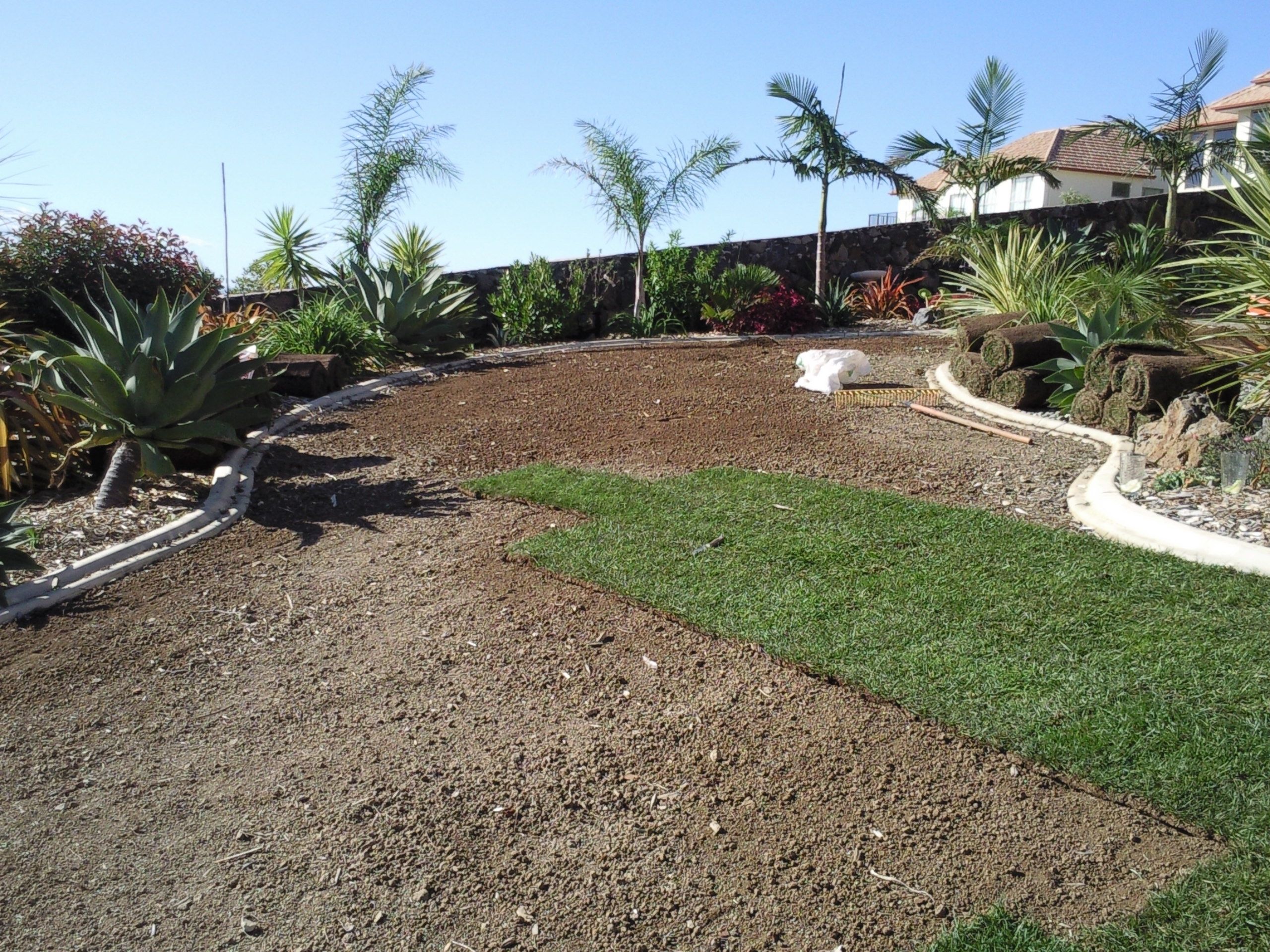 What is the difference between sprigging and turfing?