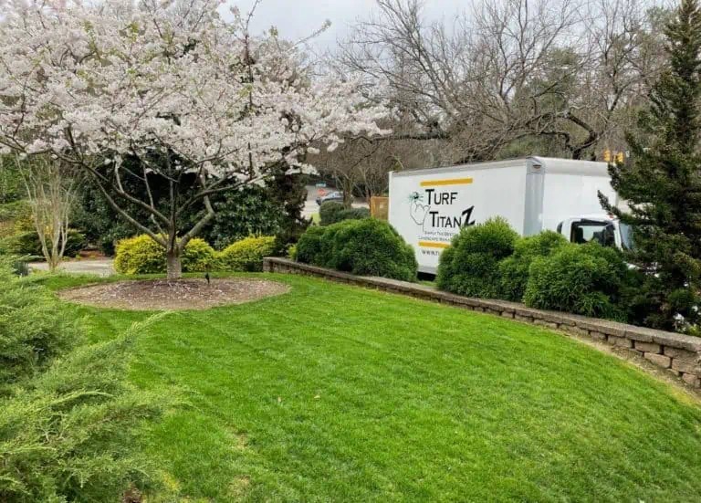 Landscaping Services in Wake Forest Expert Landscaping Maintenance