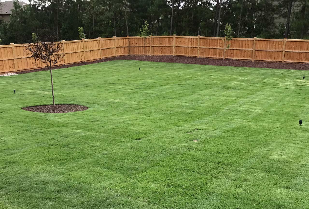 How To Lay Sod A StepbyStep Guide, 42 OFF