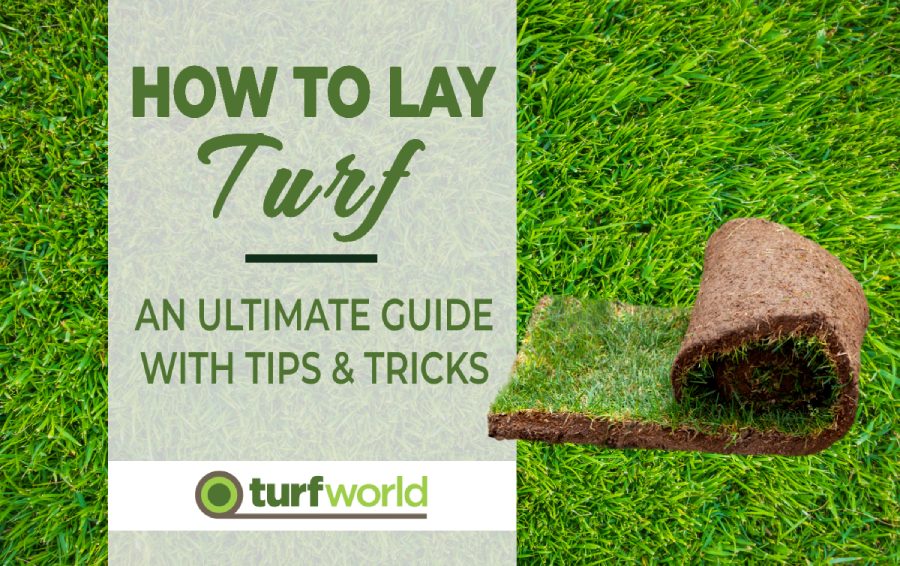 How To Lay Turf [An Ultimate Guide] + Tips & Aftercare