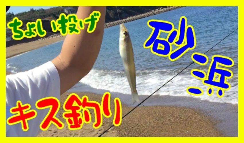 キス釣りを簡単な仕掛けで遠投してやってみよう！！ 海/沖/磯/川/湖 釣り動画まとめサイト【爆釣りマニア