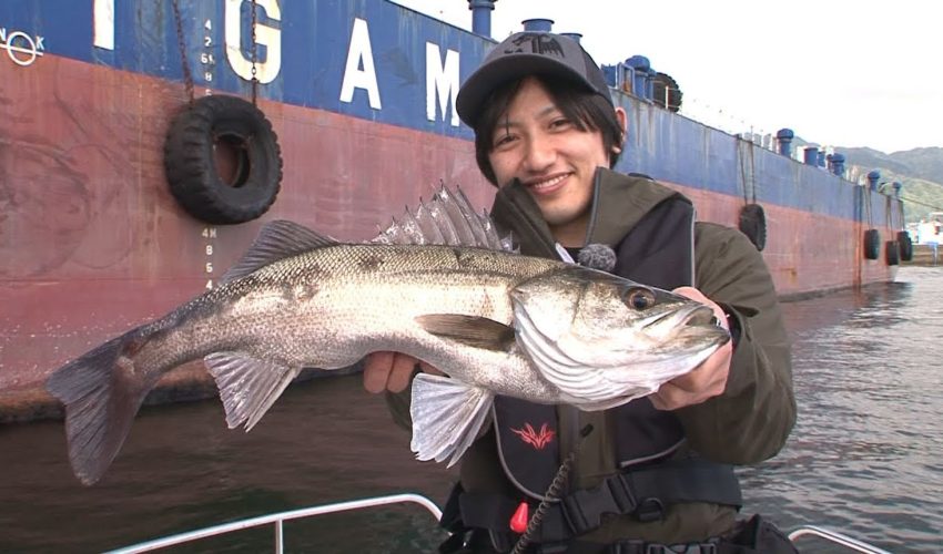 大阪湾でボートフィッシング パターンを見つけシーバスを攻略！（四季の釣り/2018年5月11日放送） 海/沖/磯/川/湖 釣り動画まとめ