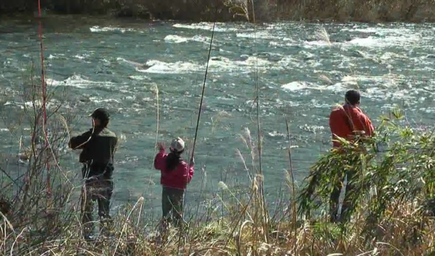 中津川市 「第11回ふくおかアマゴ釣り大会」 海/沖/磯/川/湖 釣り動画まとめサイト【爆釣りマニア