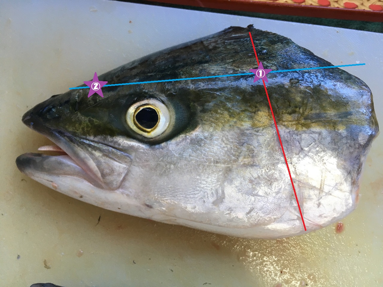 選択した画像 魚 脳締め 278568魚 脳締め ピック