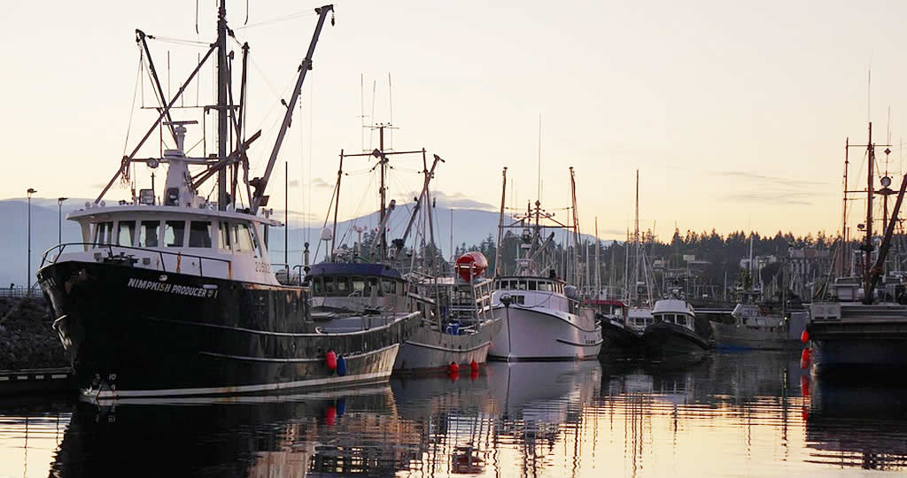 山陰イカ釣り遊漁船の一覧表を作ってみた！釣り船の釣果情報 釣り情報のインフォ