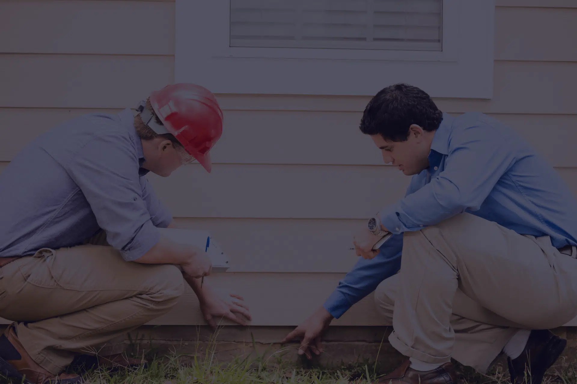 Affordable Termite Extermination Toronto Pestend Pest Control.