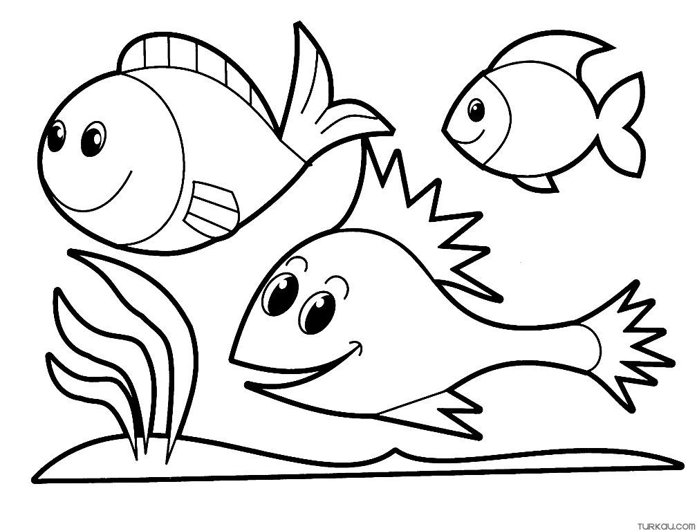 Fish Colouring Pages