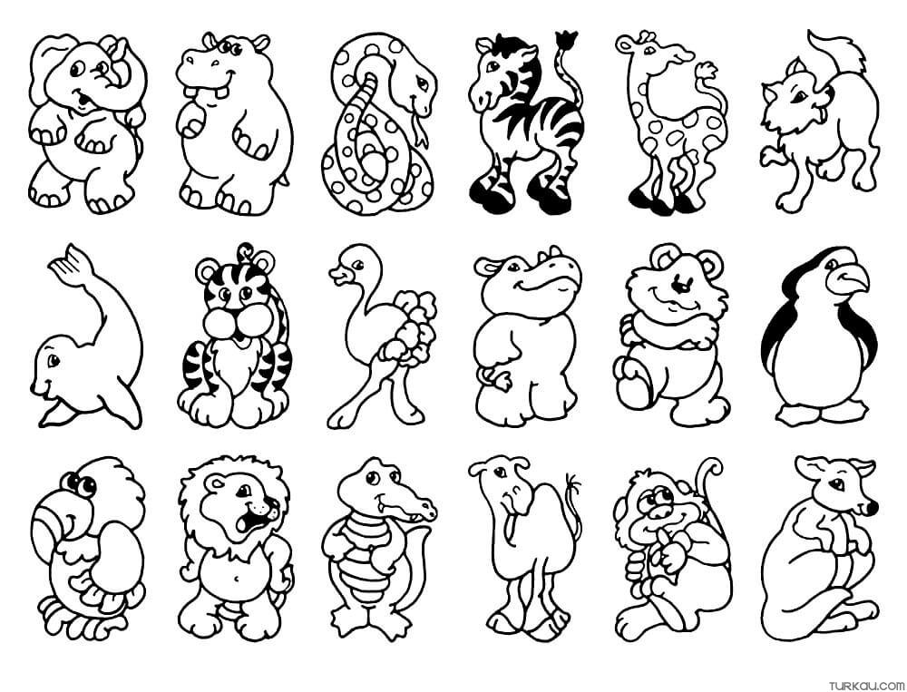 Wild Animals Coloring Pages ?? Turkau