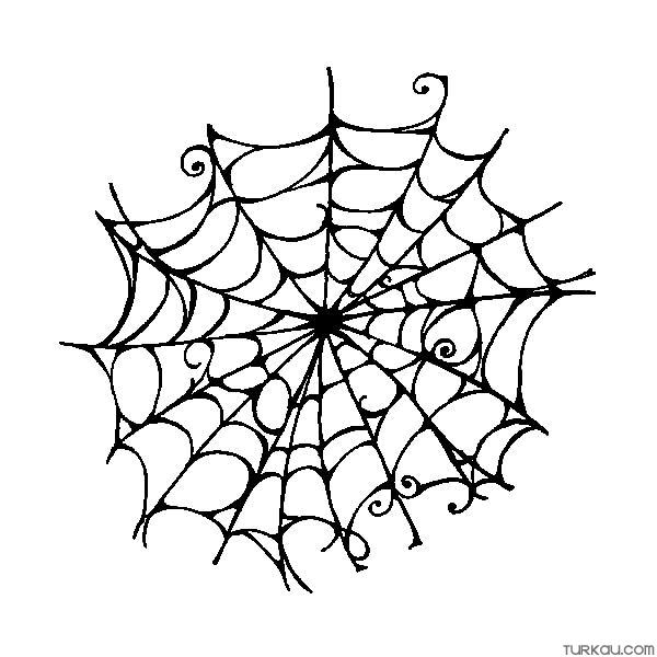 Spider Web Coloring Pages » Turkau
