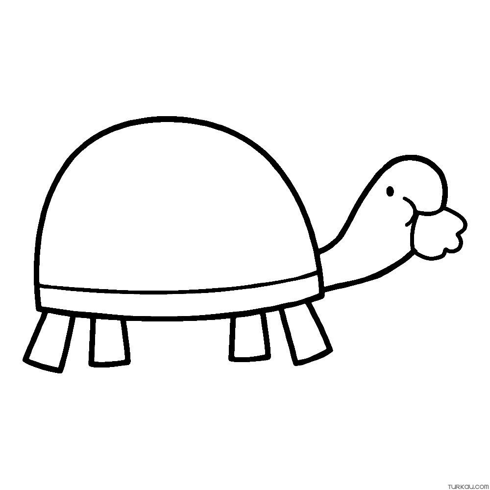 Animal Turtle Coloring Page For Adults » Turkau