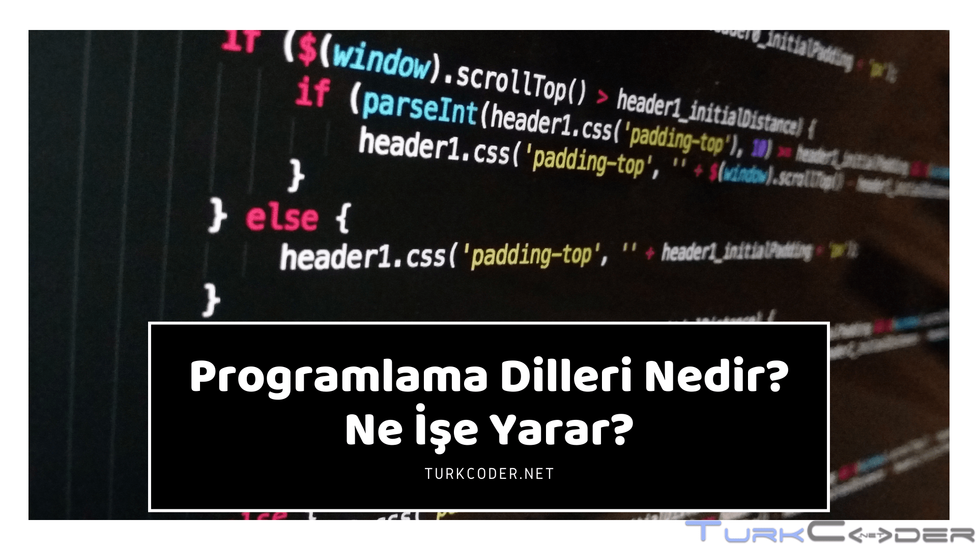 — Programlama Dilleri Nedir? Ne İşe Yarar?
