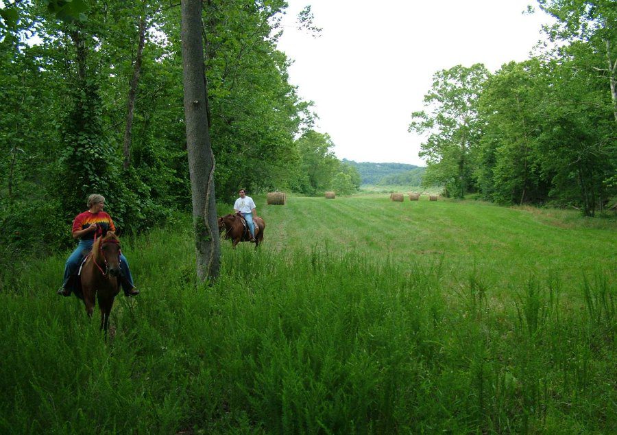 Lake Cabin in Missouri Turkey Creek Ranch