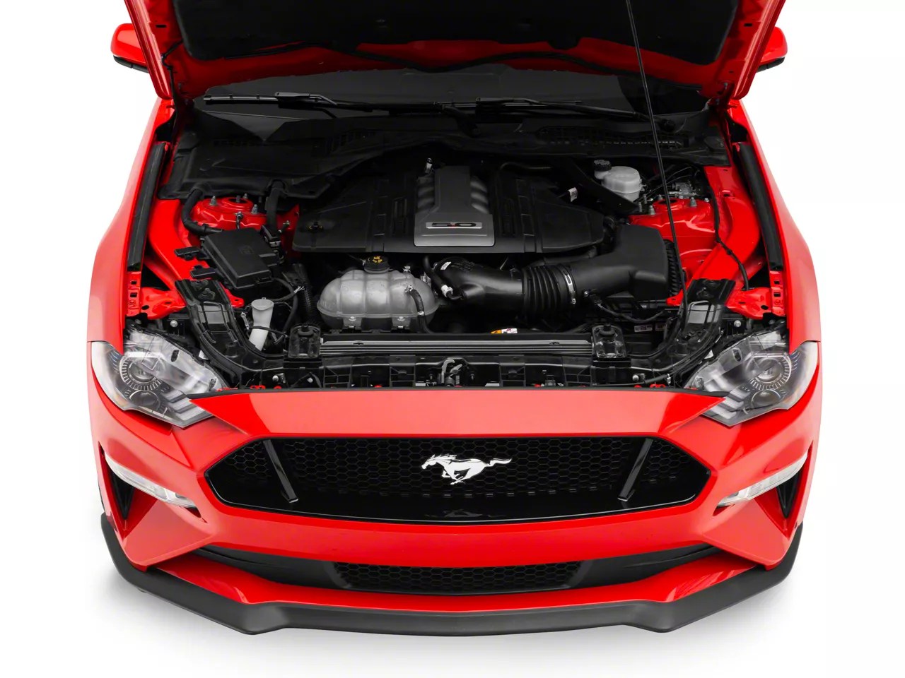 Ford Performance Mustang Engine Cover M9680M50B (1820 GT)