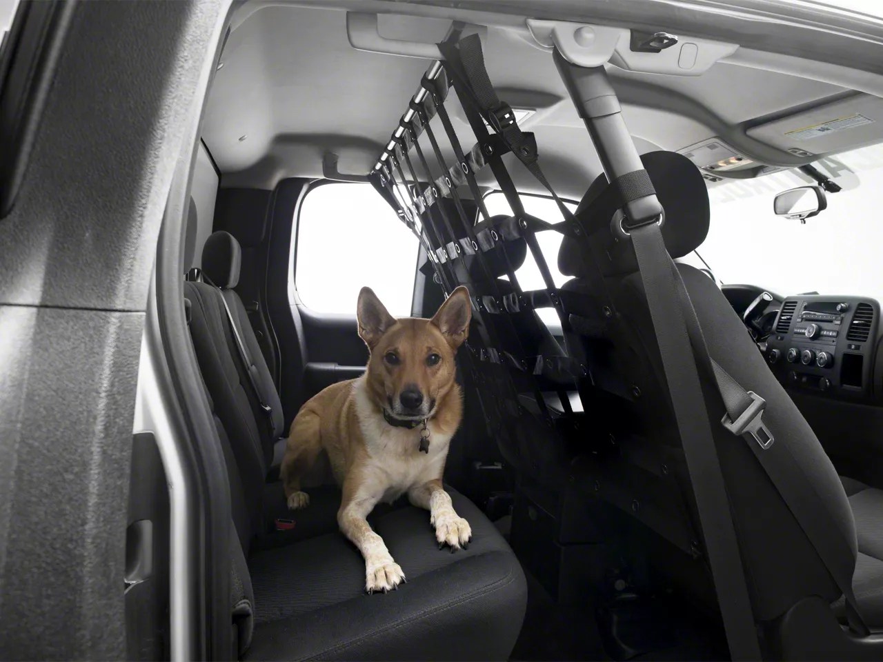 Dirty Dog 4x4 Silverado Pet Divider Black PDGMPU06BK (0718 Silverado
