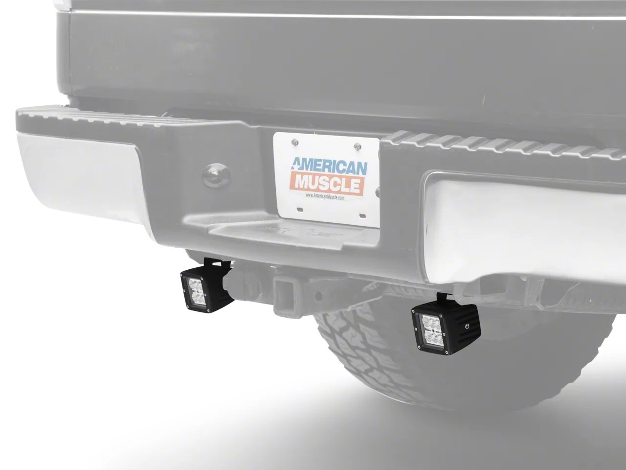 Raxiom F150 Auxiliary/Backup Light Kit T526749