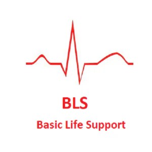 Basic Life Support (BLS) course (4 hours) Canadian Red Cross