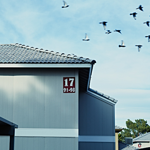 Turner Impact Capital Pioneers in Impact Investing