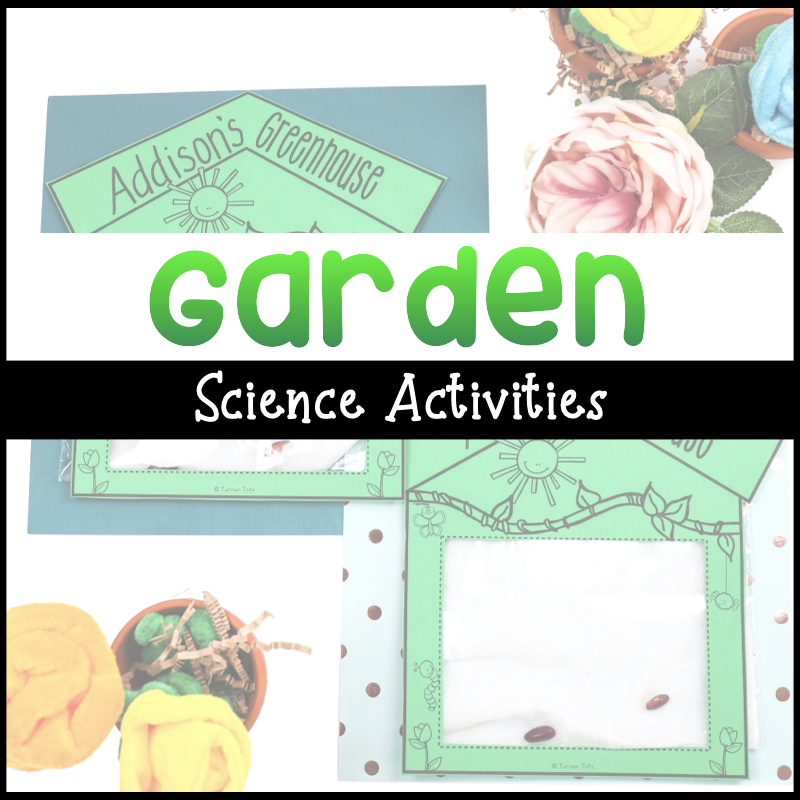 5 Plant Science Activities for Preschoolers to Plant a Love of Learning