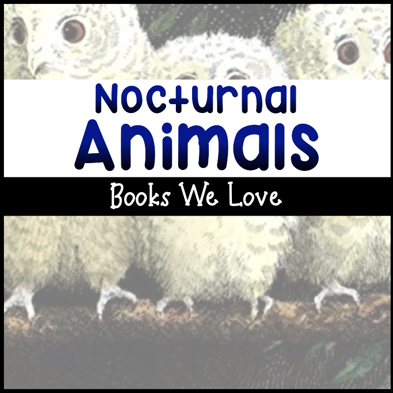 10 Nocturnal Animal Books to Show Toddlers Night Isn’t Scary
