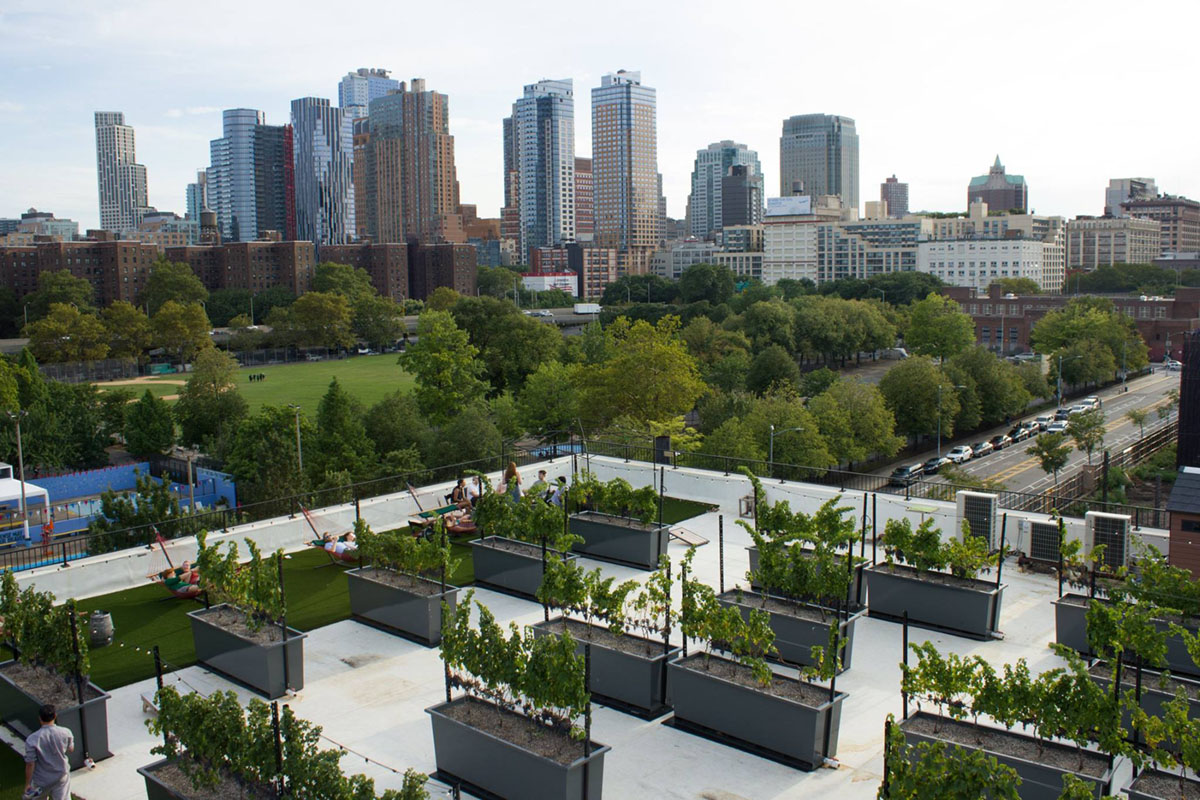 Rooftop Reds at the Brooklyn Navy Yard Turnstile Tours