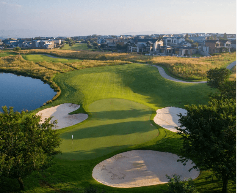 Too Important Vlog Navigateur