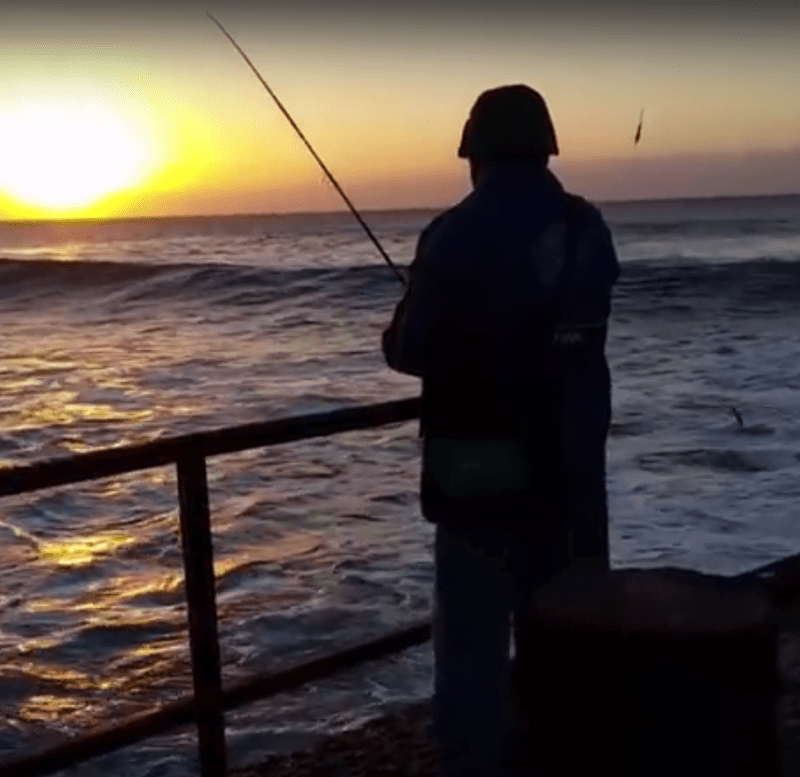 WATCH KZN kob fishing action