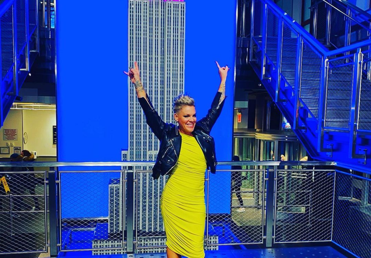 Fan throws mom's ashes on stage during P!nk concert