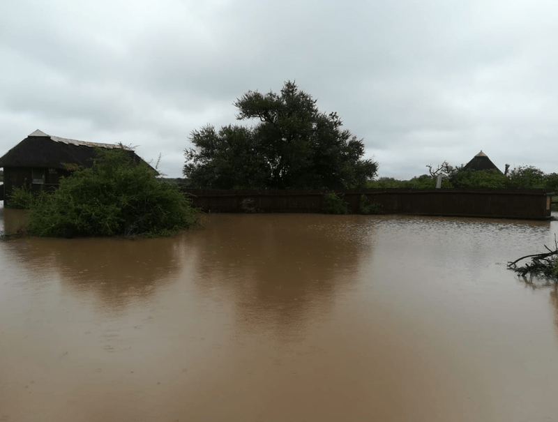 [PICTURES] Flooding in Kruger leads to road closures