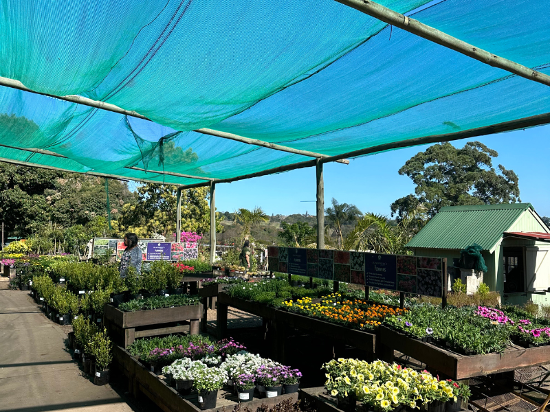 Hidden Gem The Hingham Nursery in Durban North