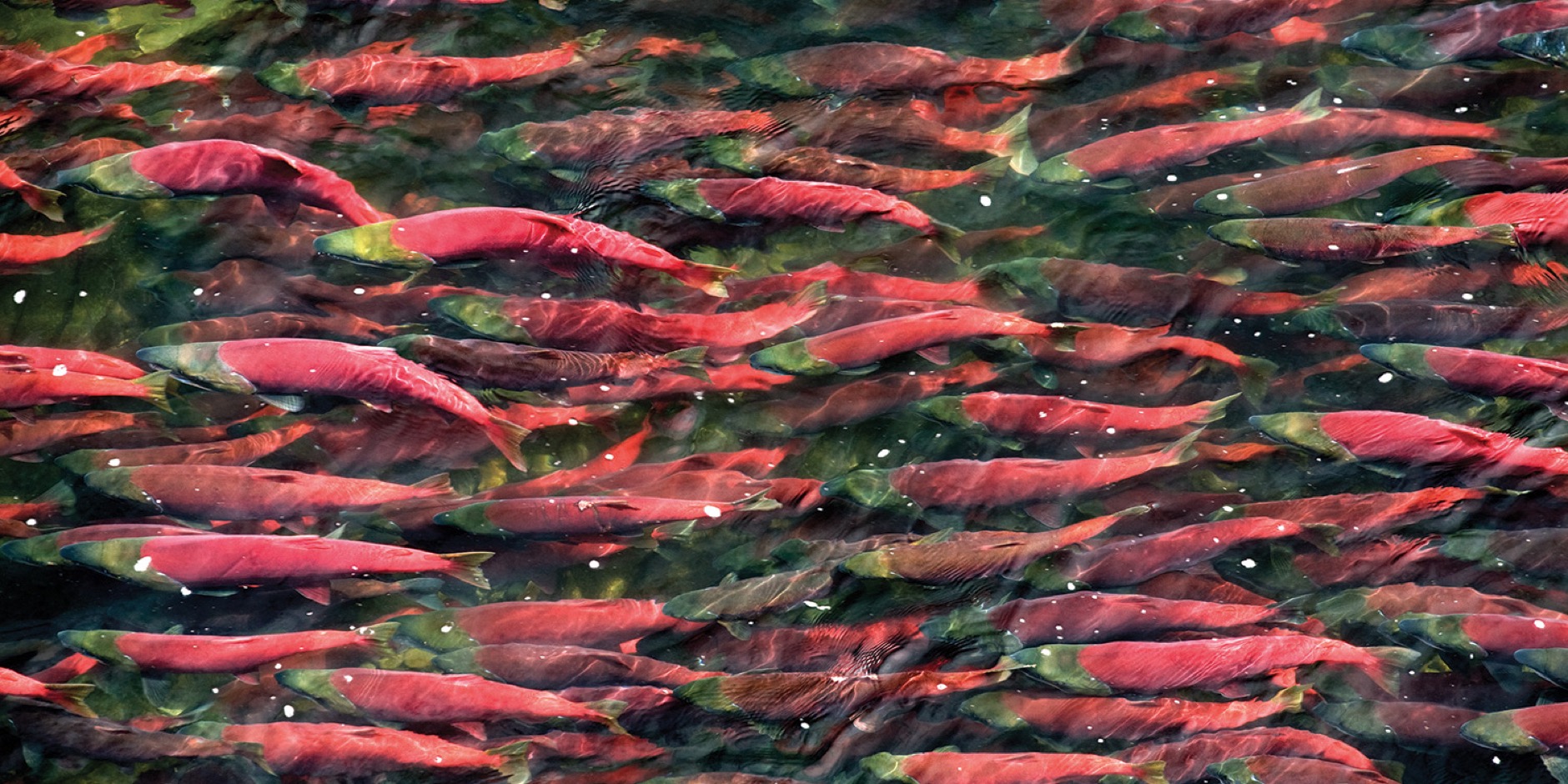 Road trip through Alaska’s national parks Field Notes The Turo blog