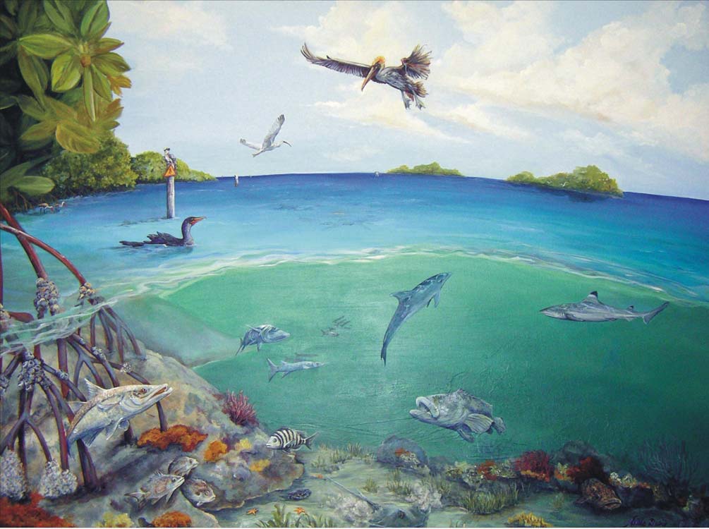 Environmental Education • Turrell, Hall & Associates, Inc.