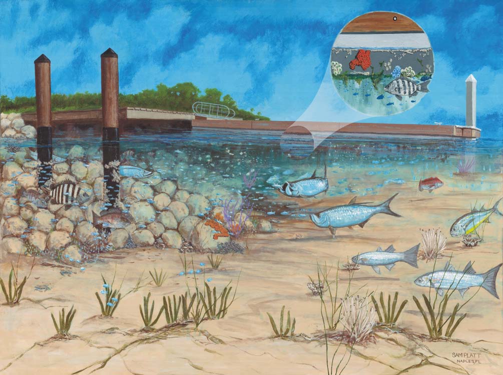 Environmental Education • Turrell, Hall & Associates, Inc.