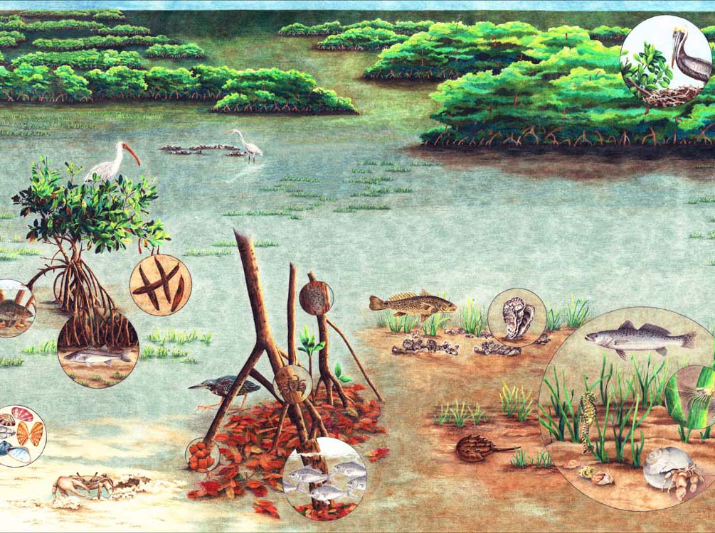 Environmental Education • Turrell, Hall & Associates, Inc.