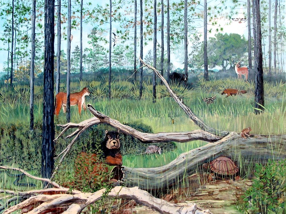 Environmental Education • Turrell, Hall & Associates, Inc.