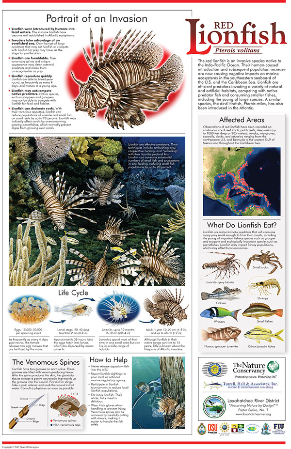 Environmental Education • Turrell, Hall & Associates, Inc.