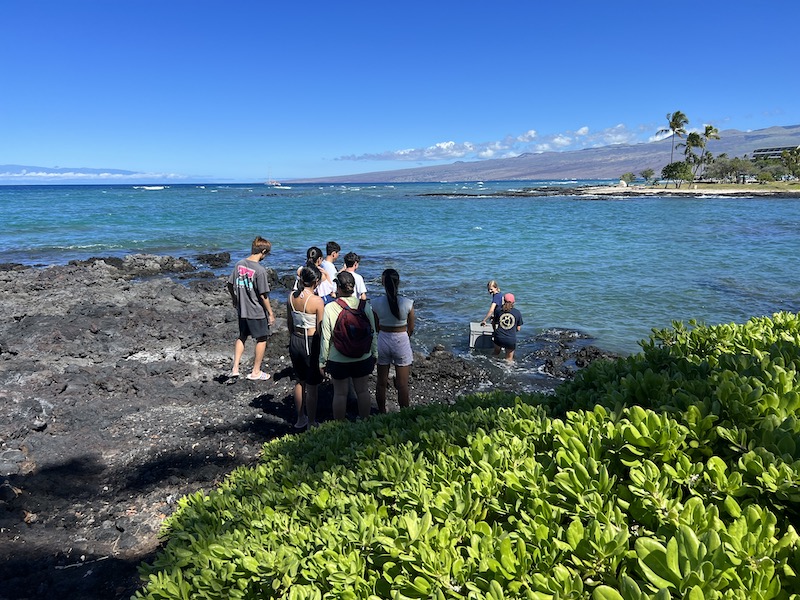 Mauna Lani Bay Trip Marine Studies, HPA SCUBA & Sea Turtle Research