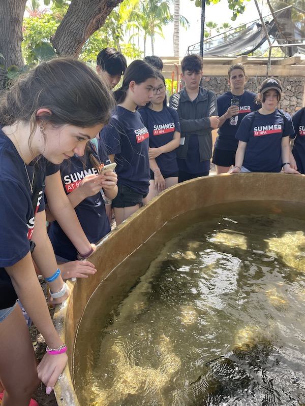 Mauna Lani Honu Marine Studies, HPA SCUBA & Sea Turtle Research Programs