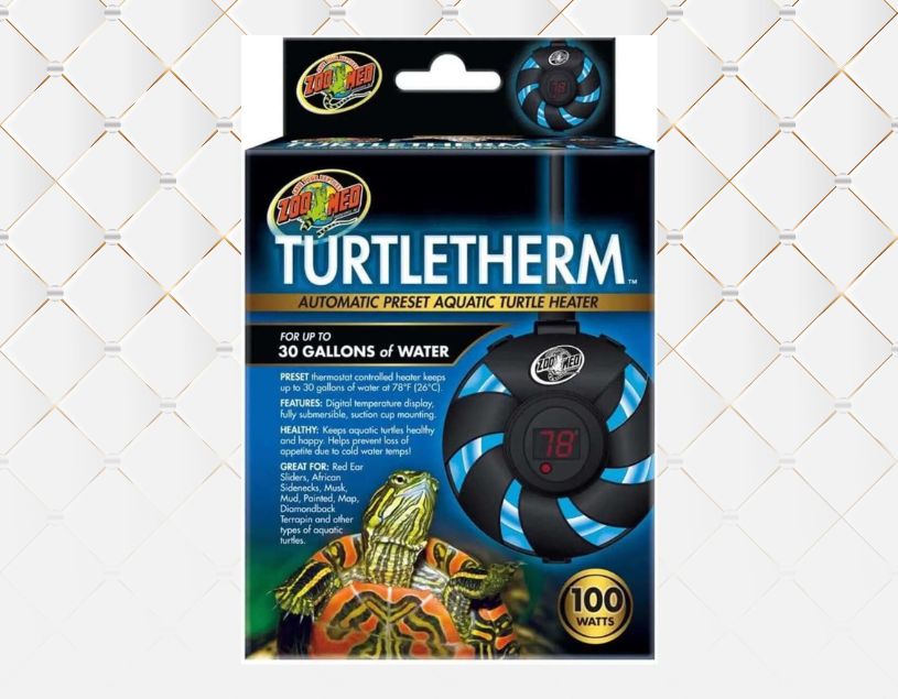 Top 6 Best Underwater Heater For Turtles Turtlean