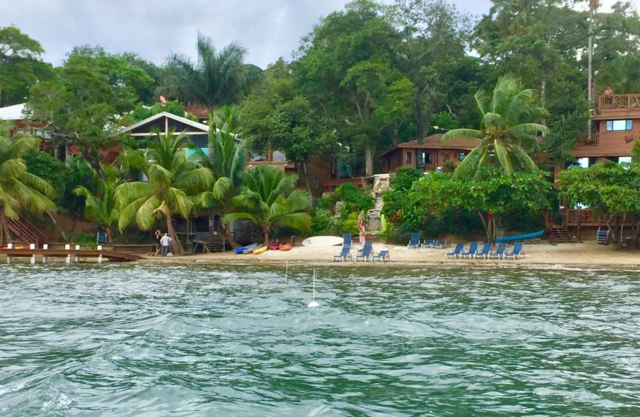 Turtle Beach Dive Resort Roatan