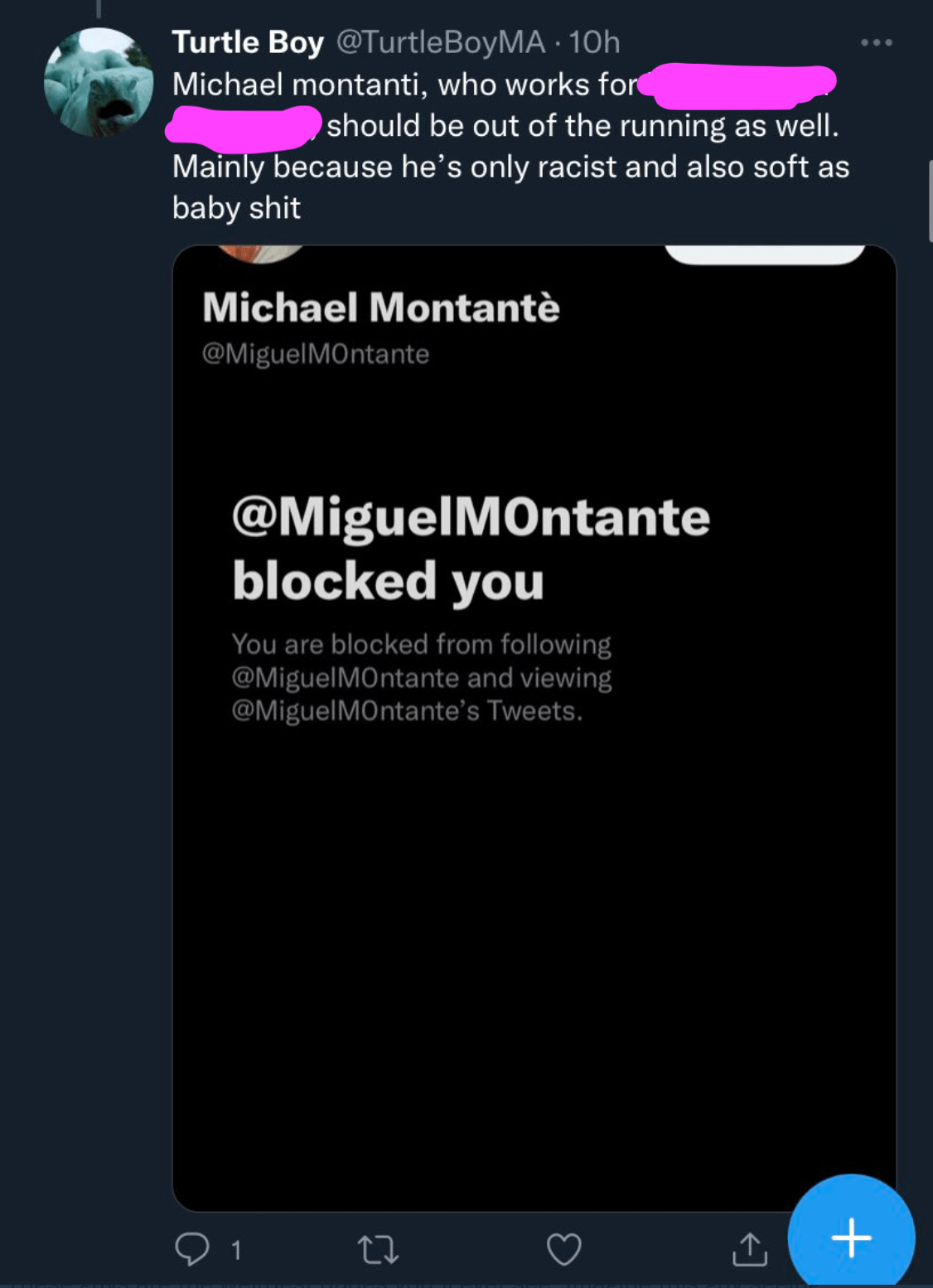 Climate Change Consultant Pretending To Be Turtleboy On Twitter Gets
