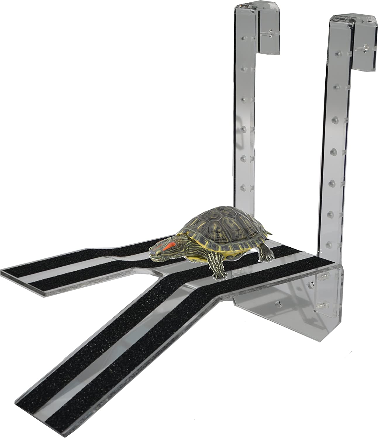 The Best Docks for Turtles A Review and Buying Guide