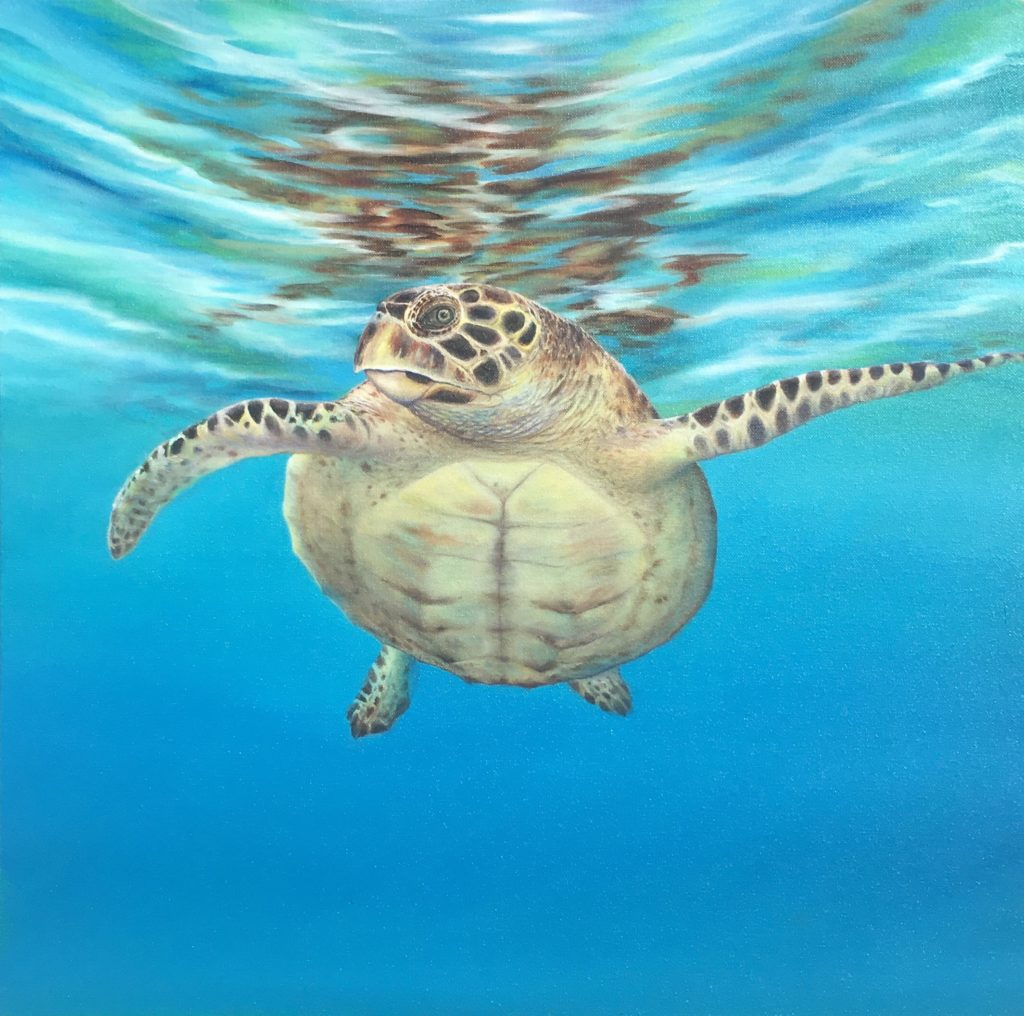 Sea Turtle Art Turtle Lady Art