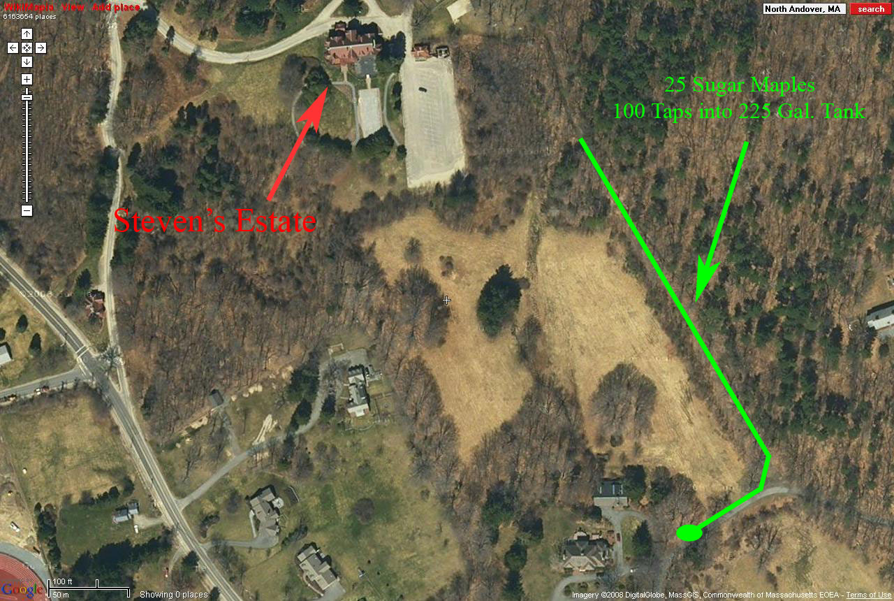 Lines up at Cullen Estate Turtle Lane Maple Farm