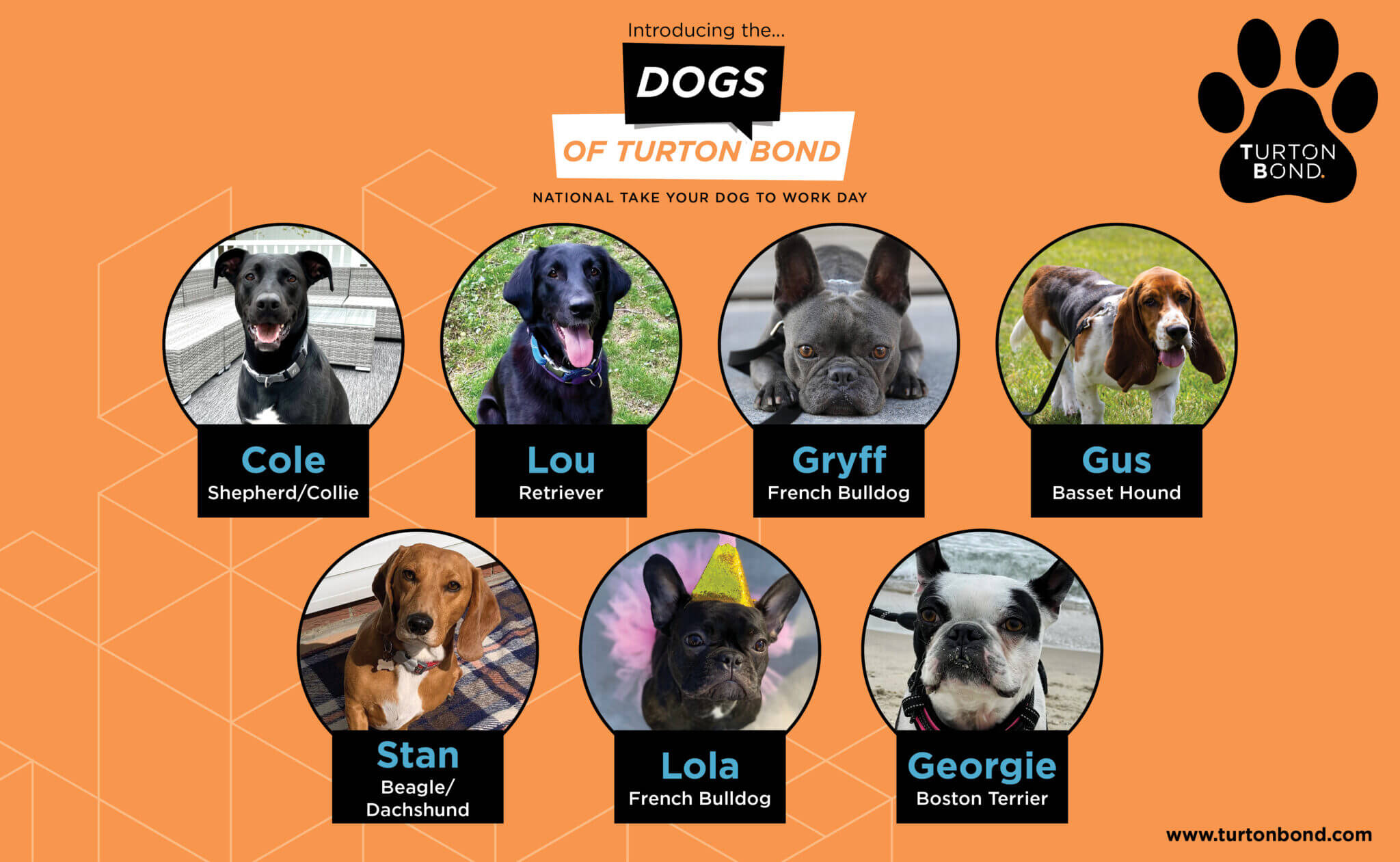 Turton Bond Dogs of Turton Bond Turton Bond