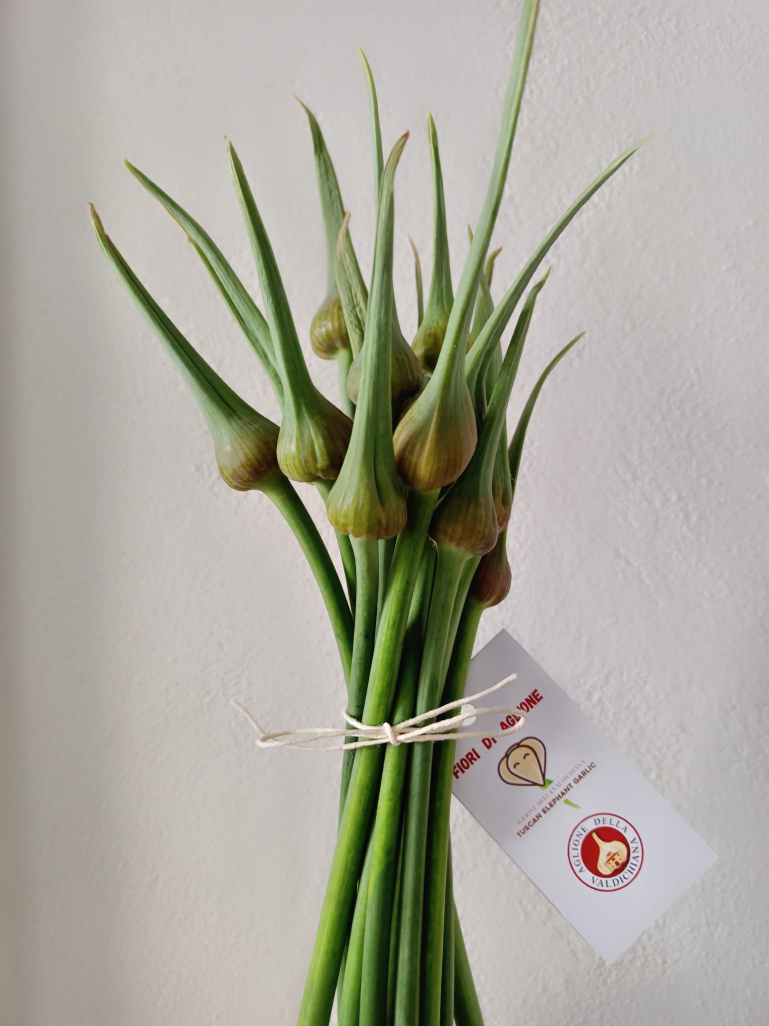 Fiori di Aglione della Valdichiana 1Kg Tuscan Elephant Garlic