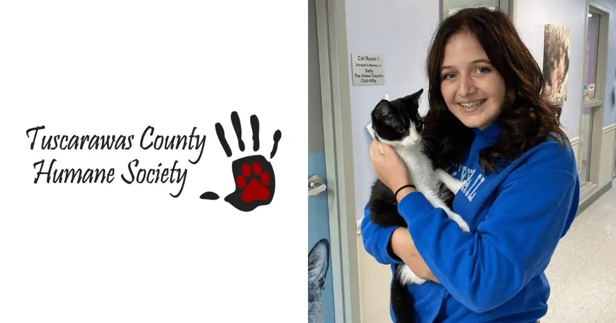 Adopt a Cat Tuscarawas County Humane Society