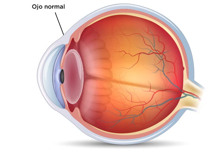 Que Es La Presion Ocular Del Ojo Consejos Ojos