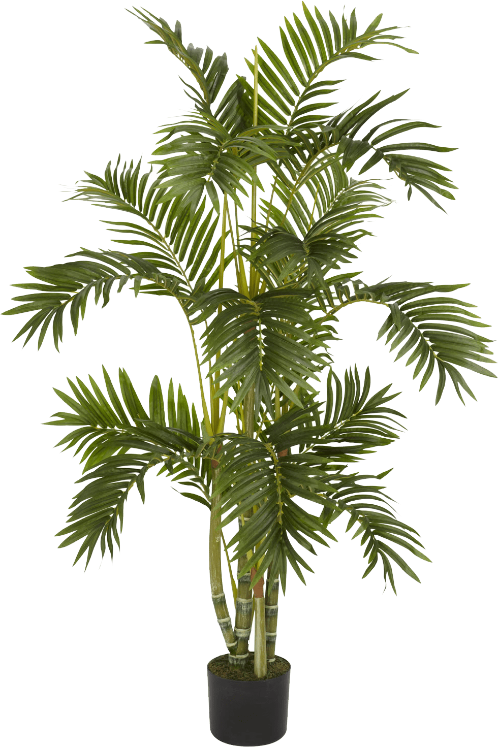 Palmeras artificiales Comprar Tus plantas artificiales