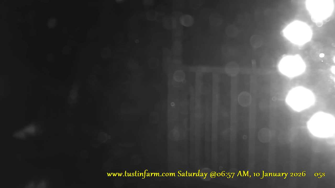 This site page was last edited 27 June 2023. Please email all